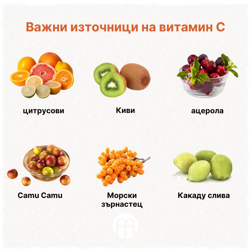 (Bulharština) Významné zdroje vitamínu C